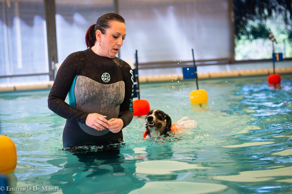 espertitalia_gallery_joybeachdogschool (3)