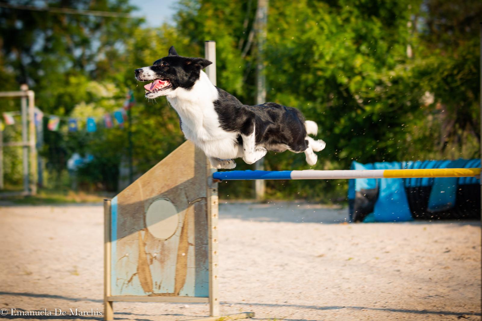 Matiblu Captain Marvel terzo brevetto Enci e senior csen finalista Cattolica 2024