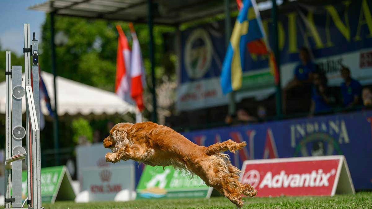 Francini's Sun is Up! La super bionda! Finalista CSEN Biathlon 2023-2024.